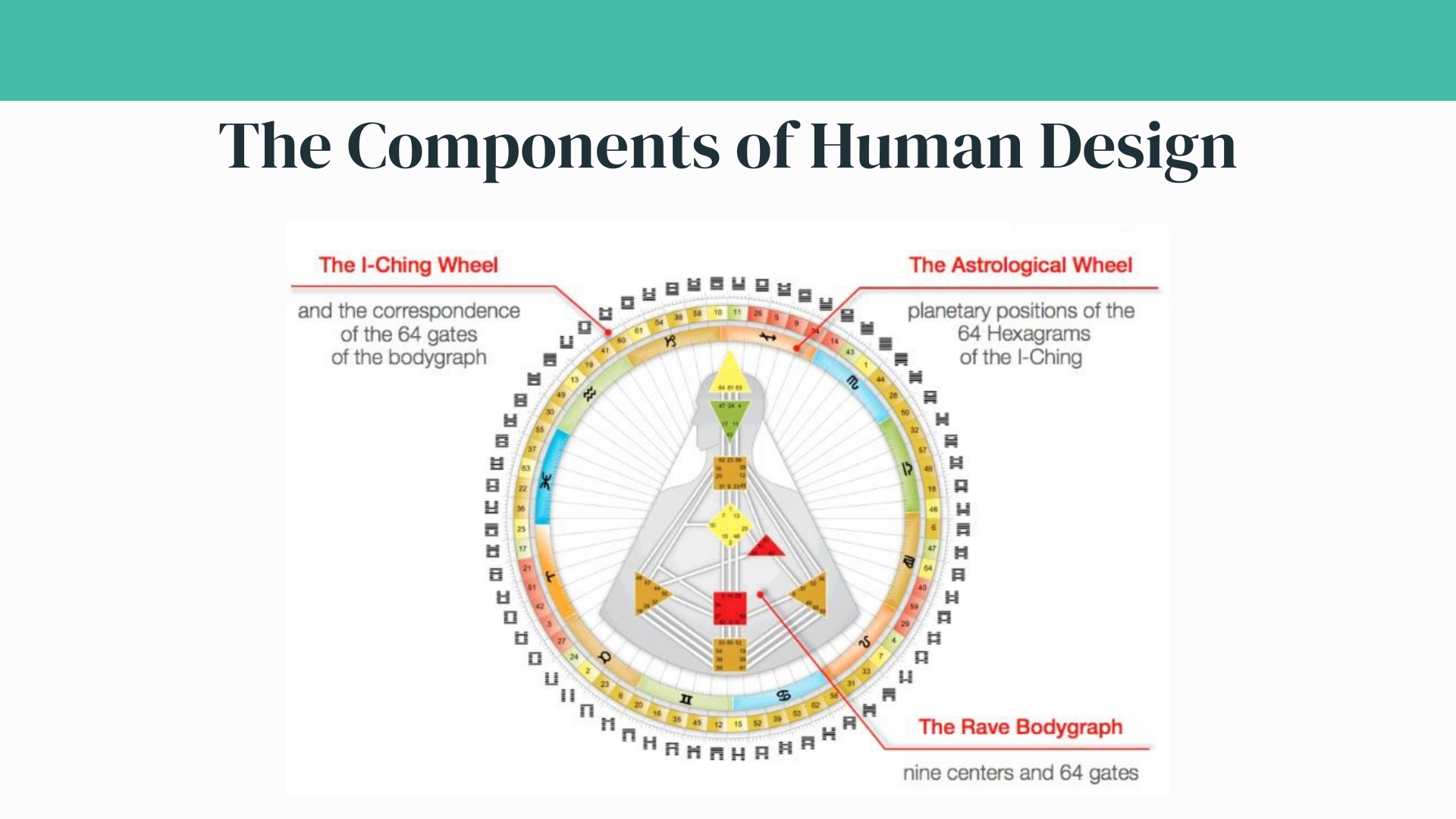 The Mandala and the Bodygraph in Human Design by Kaisie Dailey