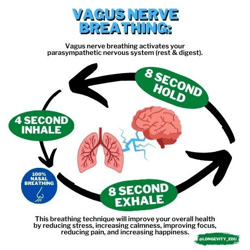Breathwork Vagus Nerve